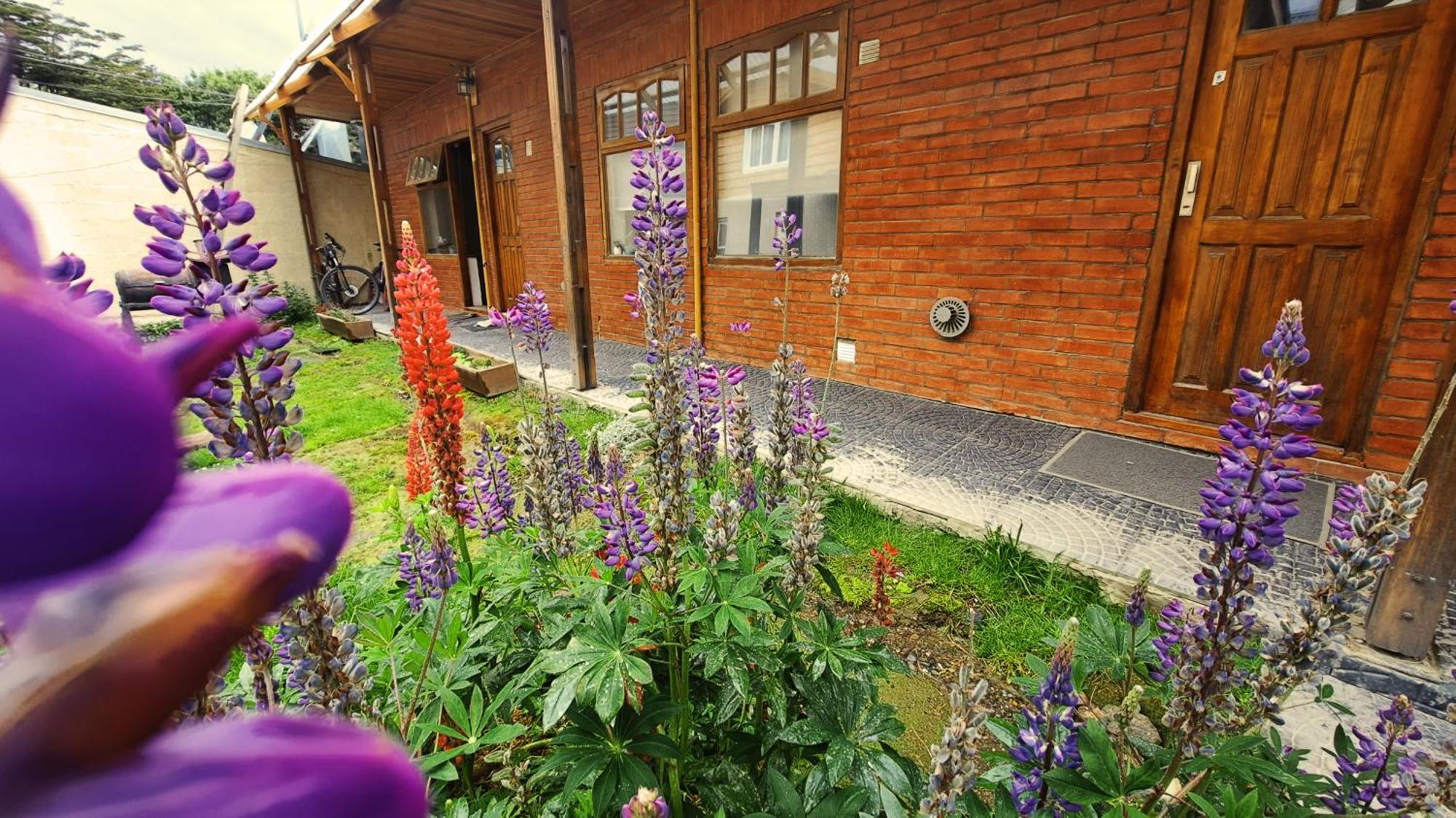 Terrazas Del Sur Appartement Ushuaia Buitenkant foto
